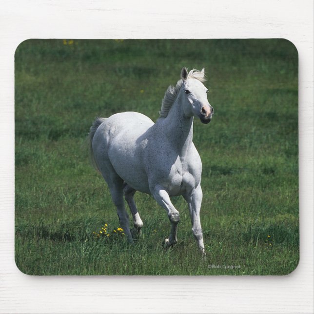Thoroughbred-Stute Mousepad (Vorne)