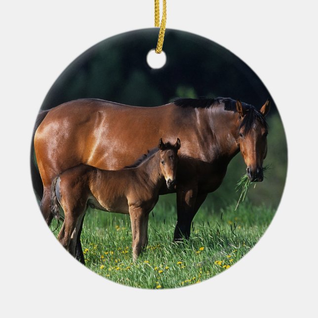 Thoroughbred-Stute u. Fohlen 1 Keramikornament (Vorne)