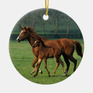 Thoroughbred-Stute u. Fohlen 3 Keramikornament