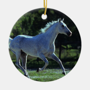 Thoroughbredstallions-Betrieb Keramikornament