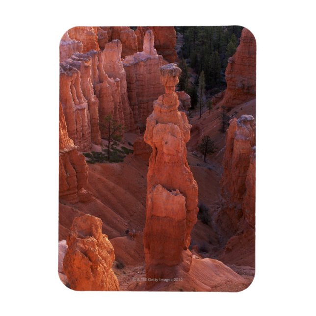 Thor's Hammer Hoodoo auf Navajo Trail Magnet (Vertikal)