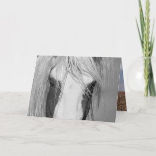 Thor's - Wild Horse Greeting Card Karte