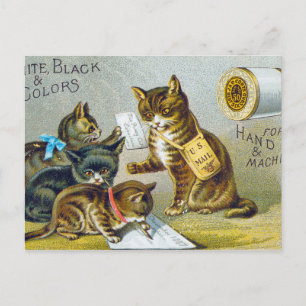 Thread Trade Card, 1880 Postkarte