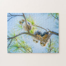 Three Baby Great Horned Owls Wildlife Fotografy Puzzle