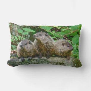 Three Baby Groundhogs Lendenkissen