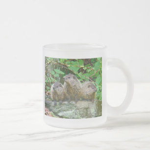Three Baby Groundhogs Mattglastasse