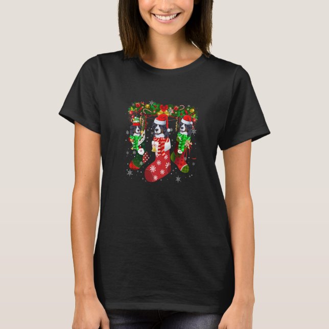 Three Bernese Mountain In Socks Christmas Santa Ha T-Shirt (Vorderseite)