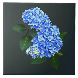 Three Blue Hydrangea Fliese
