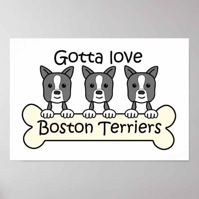 Three Boston Terriers Poster (Vorne)