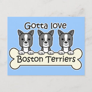 Three Boston Terriers Postkarte