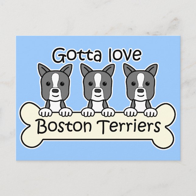 Three Boston Terriers Postkarte (Vorderseite)