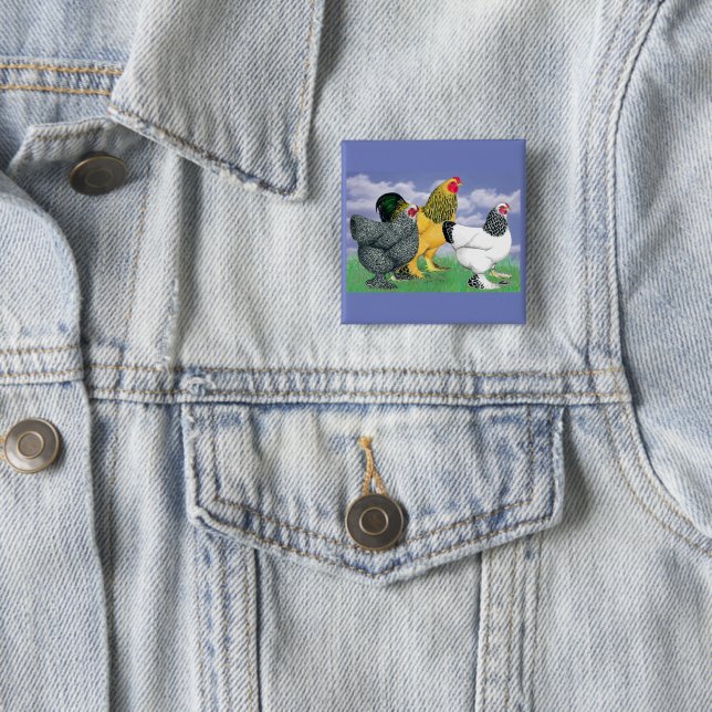 Three Brahmas Button (Beispiel)