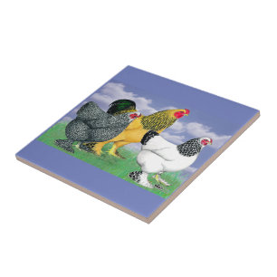 Three Brahmas Fliese