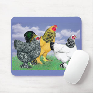 Three Brahmas Mousepad