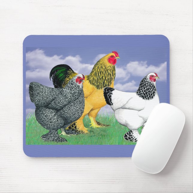 Three Brahmas Mousepad (Mit Mouse)