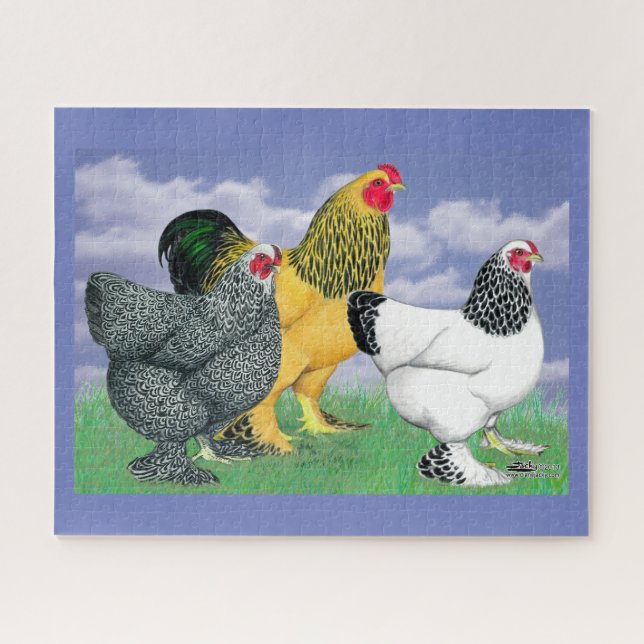 Three Brahmas Puzzle (Horizontal)