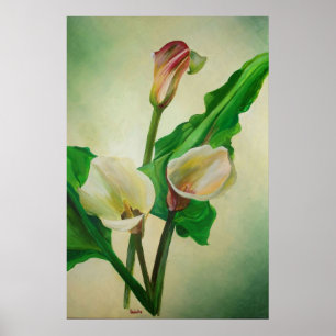 Three Calla Lilies Atemberaubend Botanical Acrylic Poster