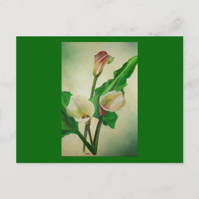 Three Calla Lilies Atemberaubend Botanical Acrylic Postkarte (Vorderseite)