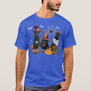 Three Cane Corso Hunde Hexenhunde Halloween Mummy  T-Shirt