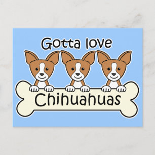 Three Chihuahuas Postkarte