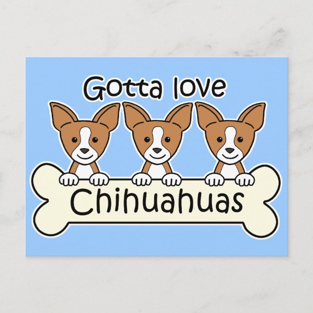 Three Chihuahuas Postkarte (Vorderseite)