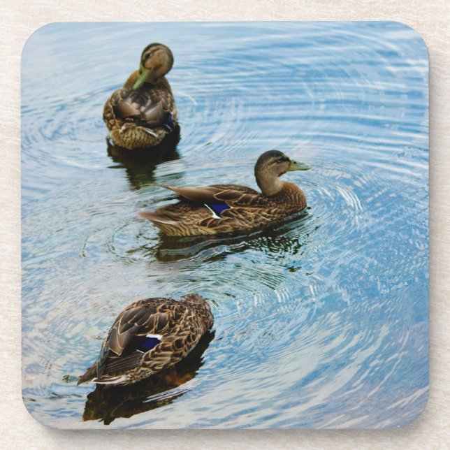 Three Cork Untersetzer (Vorderseite)