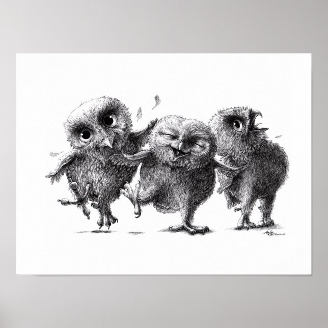 Three Crazy Owls - Corujas - Weißschneeeule Poster (Vorne)
