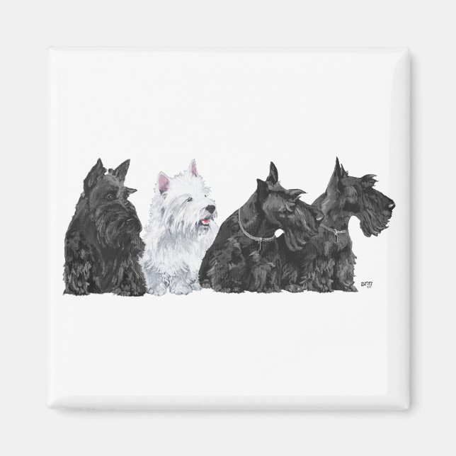 Three Curious Scotties und a Westie Magnet (Vorne)