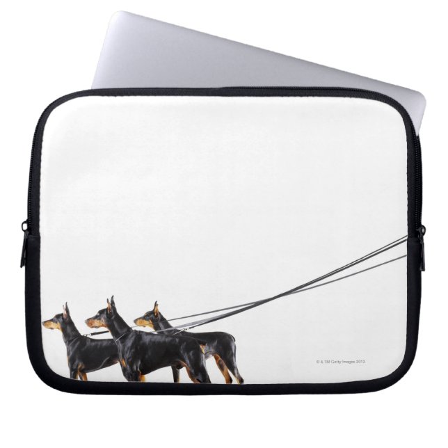 Three Dobermans on leash Laptopschutzhülle (Vorderseite)