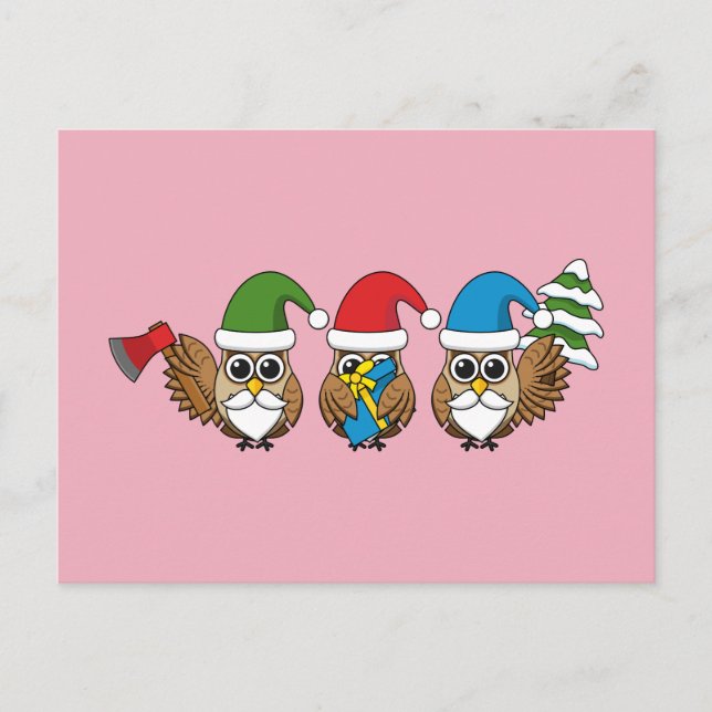 Three Funny Christmas Gnome Owls Feiertagspostkarte (Vorderseite)