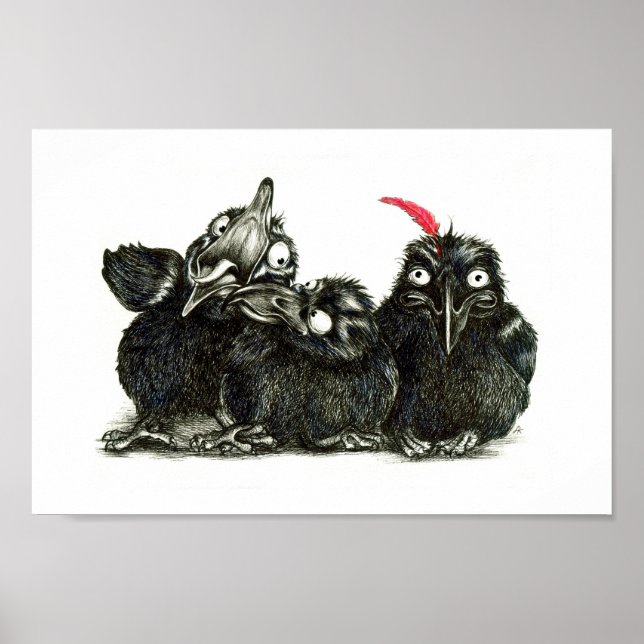 Three Funny Ravens - One Red Feather Poster (Vorne)
