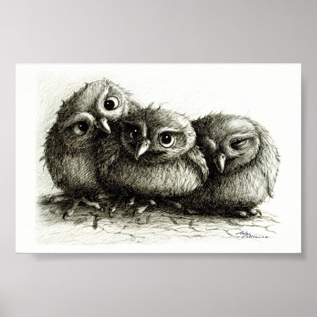 Three Funny Young Owls handgezeichnet Fine Arts Poster (Vorne)