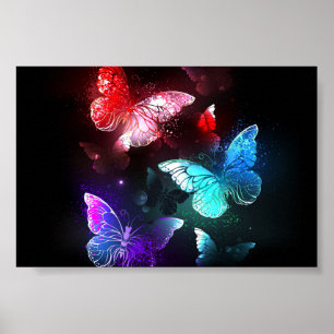 Three Glowing Butterflies on night background Poster