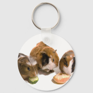 three guinea pigs who eat, schlüsselanhänger