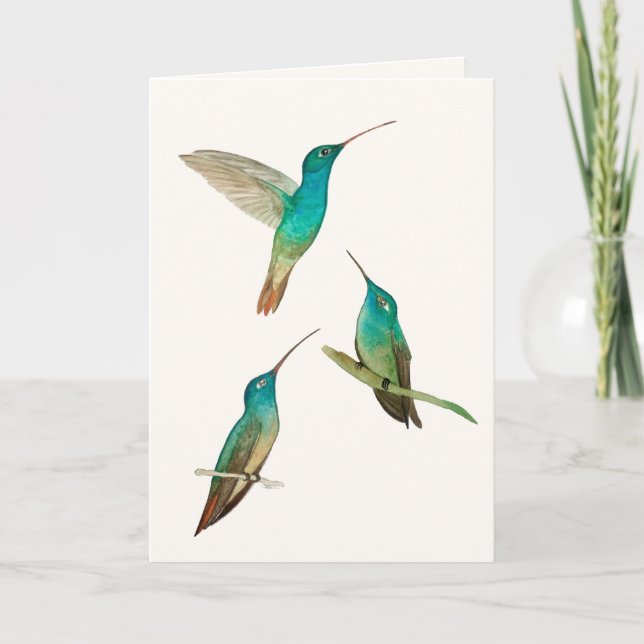 Three Hummingbirds Greeting Card Karte (Vorderseite)