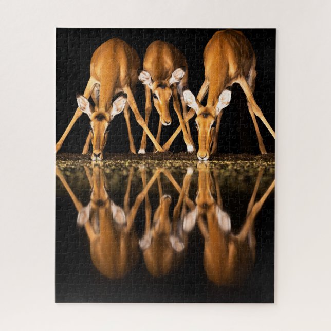 Three Impala Drink Together at Night Puzzle (Vertikal)
