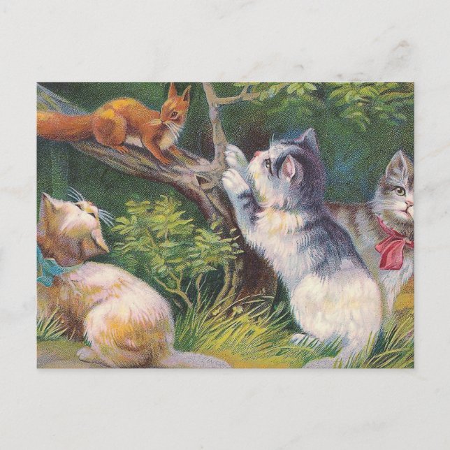 "Three Kittens and a Squirrel" Vintage Postkarte (Vorderseite)