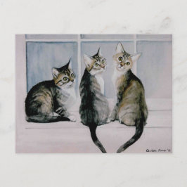 "Three Kittens" Art Reproduction Postcards Postkarte
