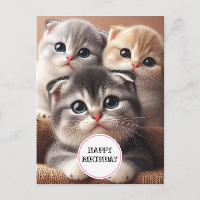 Three Kittens Happy Birthday Postcard Postkarte (Vorderseite)