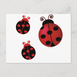 Three Ladybugs Postkarte