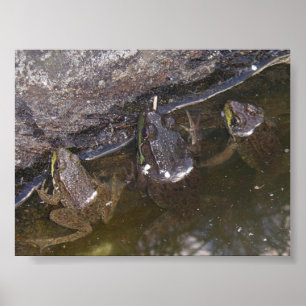 Three Little Froggies Poster