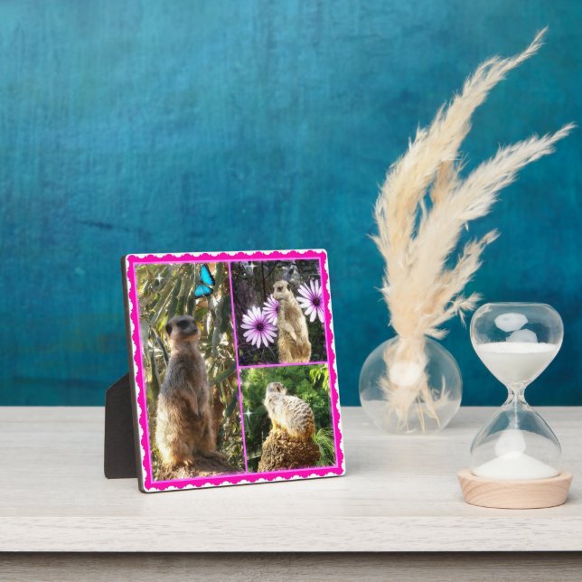 Three Meerkat Foto Collage, Foto Plaque Fotoplatte (InSitu)