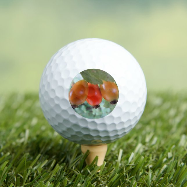 Three orange rosehips golfball (Insitu T-Shirt)