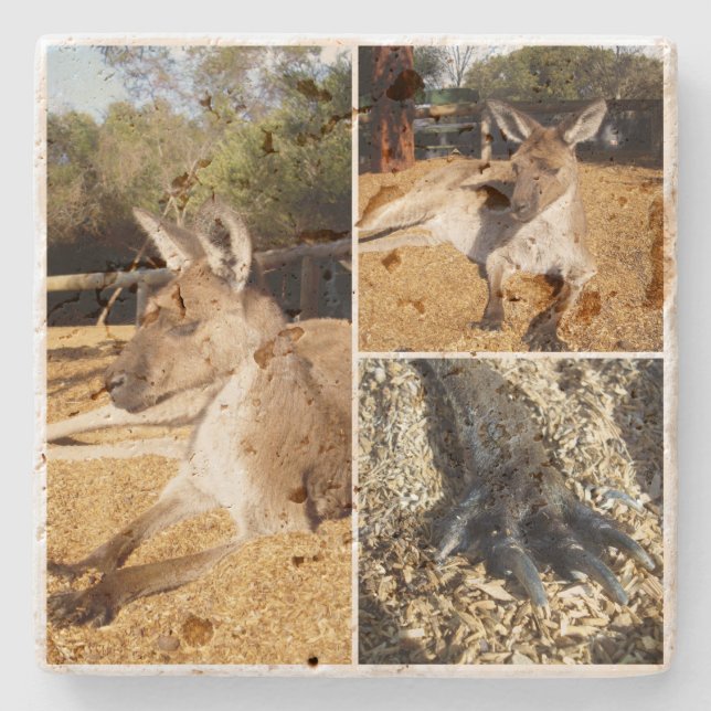 Three Picture Kangaroo Foto Collage, Steinuntersetzer (Vorderseite)