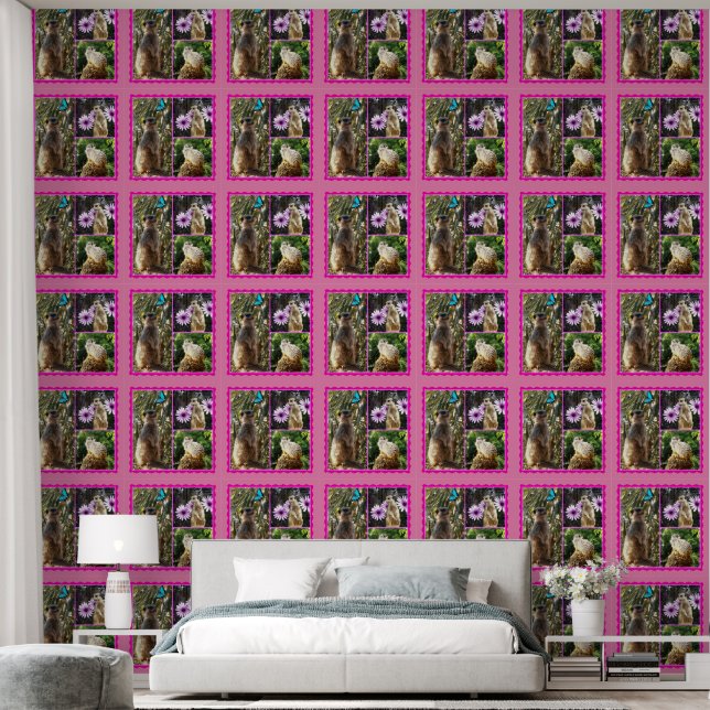Three Picture Meerkat Foto Collage, Tapete (Schlafzimmer)