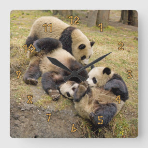 Three Playing Panda Cubs Wall Clock Quadratische Wanduhr
