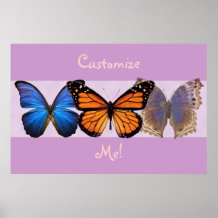 Three Pretty Butterflies Customizable Print Poster