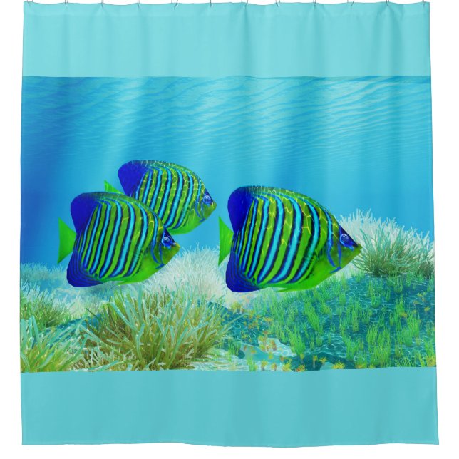 Three Regal Angelfish Duschvorhang (Vorderseite)