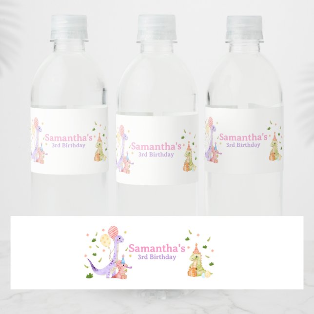 Three Rex Dinosaur Birthday Wasserflaschenetikett (Dinosaur 3rd Birthday Welcome SIgn)