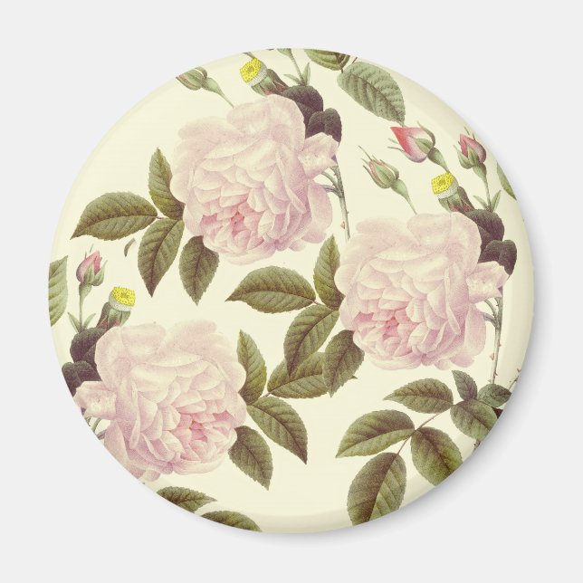 Three Rose Cream Magnet (Vorne)